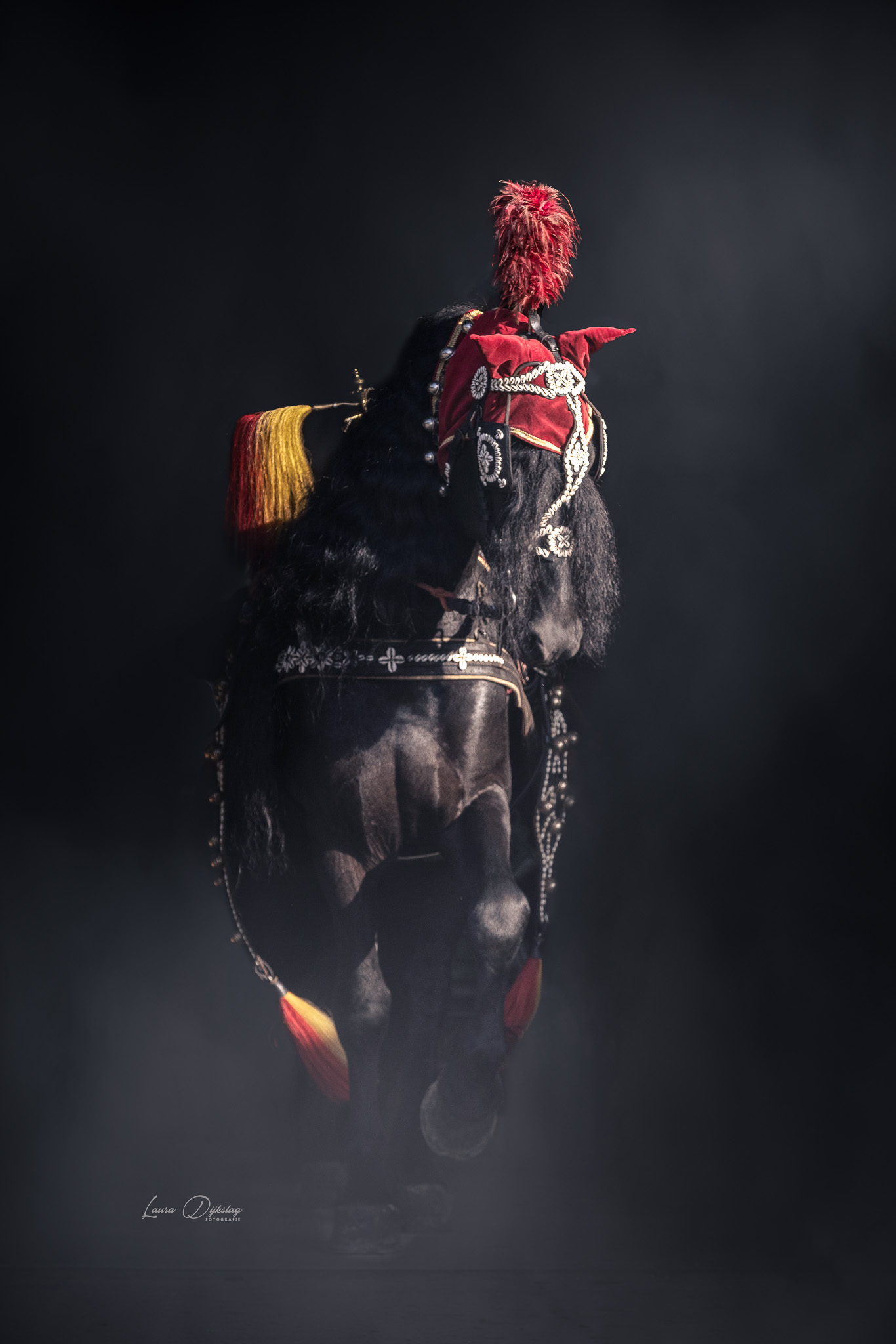 blackfoto fineart friese hengst paardenfotograaf laura dijkslag fotografie heerde zwolle apeldoorn