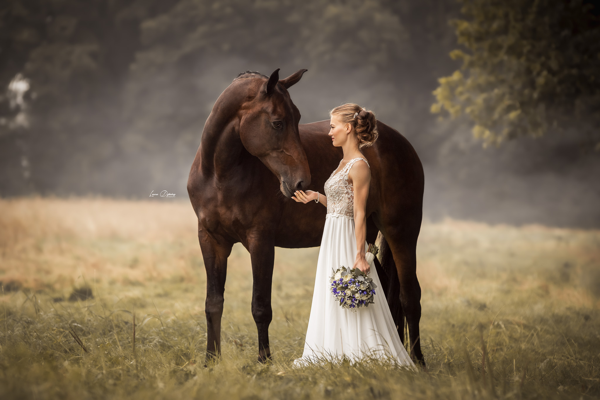 paardenfotograaf romantische magische paardenfotografie bruidsfotografie heerde epe apeldoorn zwolle4