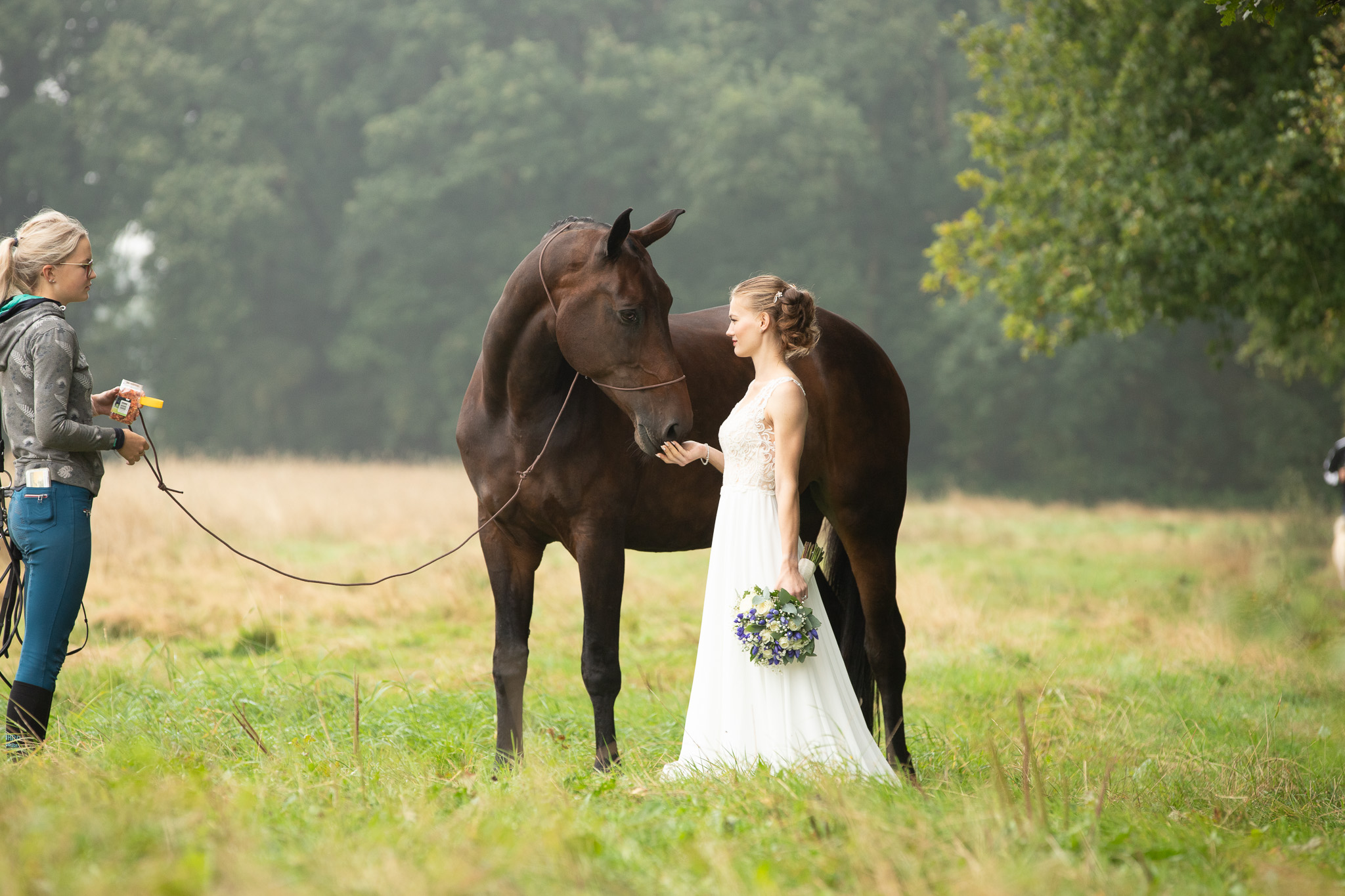 Before & After laura dijkslag fotografie paardenfotograaf gelderland