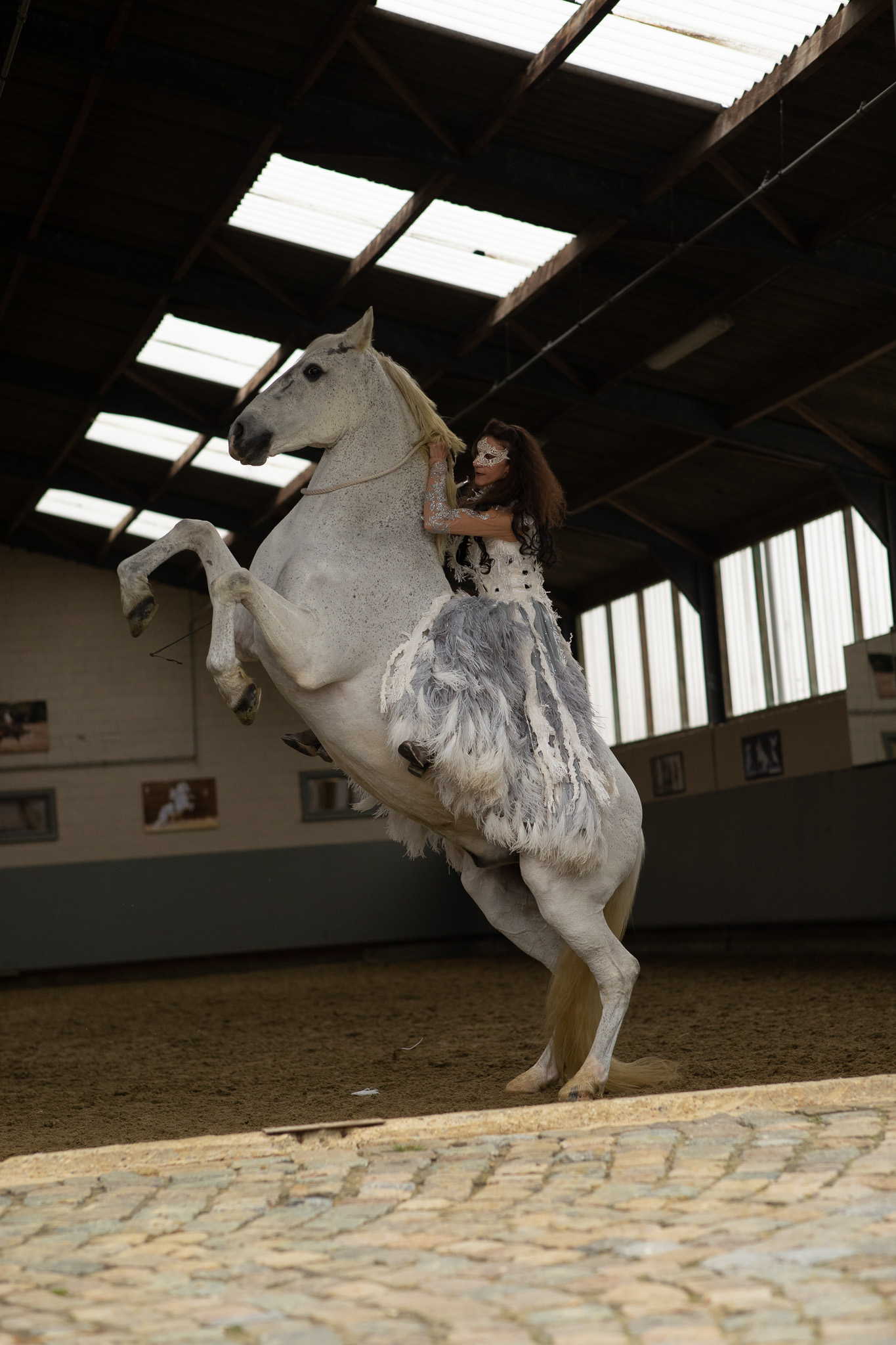 pranching white horse alizee fromant laura dijkslag fotografie before photoart heerde