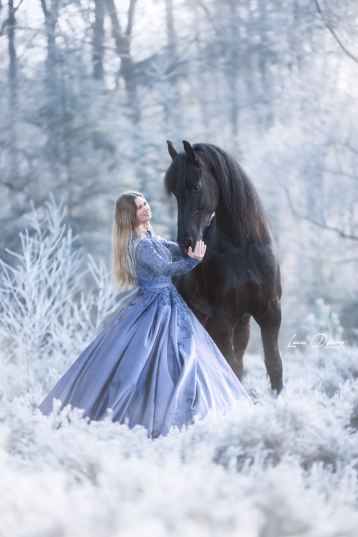 friese paarden winter paardenfotograaf romantische paardenfotografie laura dijkslag fotografie heerde epe apeldoorn